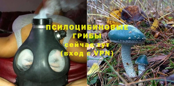 PSILOCYBIN Армянск