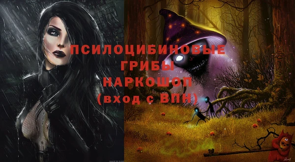 PSILOCYBIN Армянск