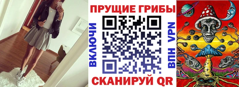 Галлюциногенные грибы Psilocybine cubensis Тайшет