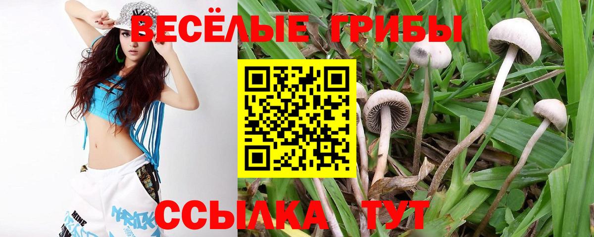 Галлюциногенные грибы ЛСД Тайшет